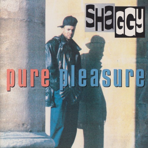 Shaggy